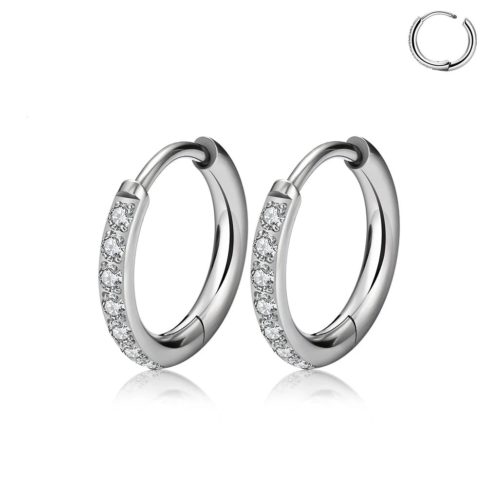 Titanium earrings