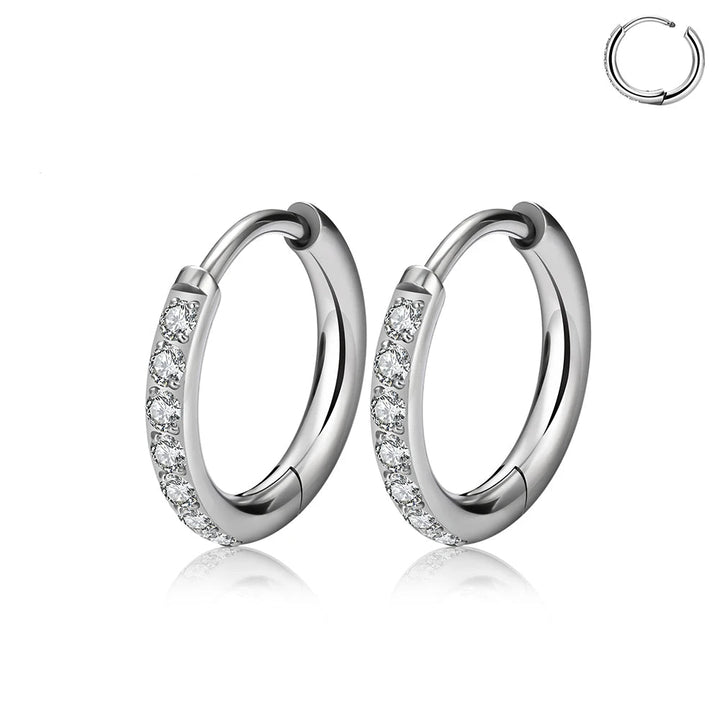 Titanium earrings