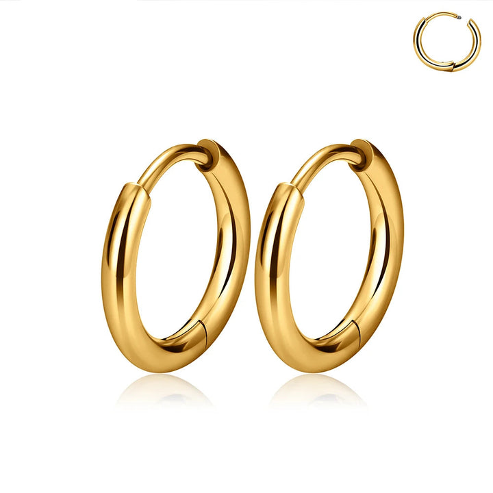 Titanium earrings