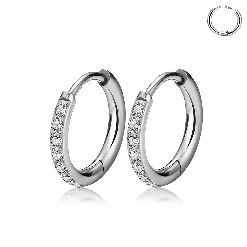Titanium earrings